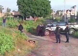 Localizan a un hombre ejecutado en la comunidad de La Luz en Salamanca.