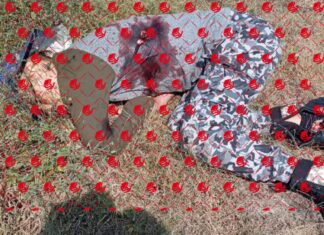 Ejecutan a cuatro hombres en Gabriel Zamora, Michoacán.