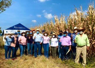 Satisfechos los productores del campo en Salvatierra.