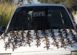 FSPE aseguran en Celaya una camioneta con reporte de robo y más de 100 estrellas poncha llantas.