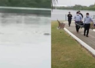 Un hombre murió después de sufrir ataque de un cocodrilo, en Tamaulipas.