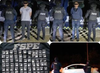 Aseguran más de 30 mil dosis de drogas y detectan 10 tomas clandestinas de hidrocarburo en Guanajuato.