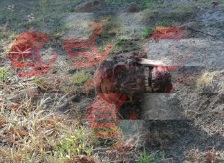 Encuentran un cuerpo sin cabeza en la zona cerril se la comunidad de Meza de Ibarrilla, en León.