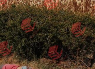 Localizan a un hombre ejecutado en la comunidad de Montecillo y Punta en Yuriria.