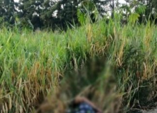 Encuentran el cuerpo de un hombre ejecutado y mániatado en Tarímbaro Mich.