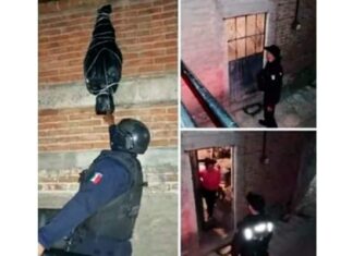 Embolsado colgado en una pared, en Guanajuato capital movilizó a la policía; se trataba de una decoración de Halloween.
