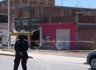 En ataque armado contra ex candidata del PAN en Villagran, asesinan a su asistente.