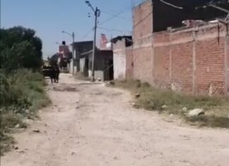 Ejecutan a una mujer en las vías del tren en la colonia Cuahutemoc, en Celaya.