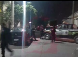 Encuentran una cabeza humana en la colonia Del Parque en Salamanca.