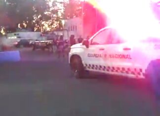 Encuentran restos humanos en bolsas de plástico en el mercado El Dorado, en Celaya.