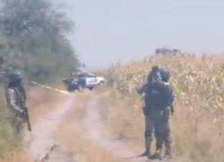 Localizan los cuerpos de cuatro personas ejecutadas en un camino de terracería en Irapuato.
