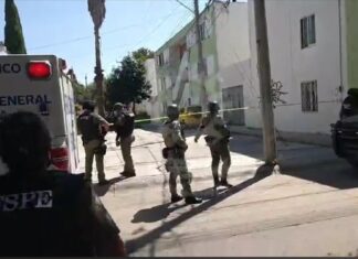 Encuentran restos humanos en dos puntos distintos en Celaya, se desconoce si tienen relación.