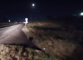 Encuentran una persona ejecutada a un costado del libramiento Celaya-Valle, en Salamanca.