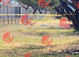 Ejecutan a un hombre en la comunidad de Maravatio del Encinal en Salvatierra.