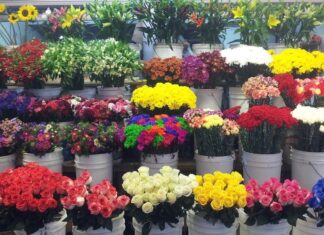 Benéfico para floristas de Moroleon la reapertura de panteones.