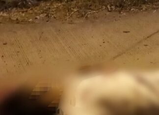 Un hombre fue ejecutado al interior de su domicilio en la colonia Del Bosque en Celaya.