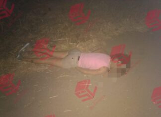 Localizan el cuerpo de una mujer sin vida y con visibles huellas de violencia en León.