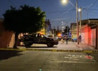 Ejecutan a una mujer en el interior de su domicilio en León.