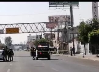 Ejecutan a mujer policía en Celaya.