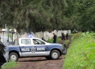 Encuentran el cuerpo sin vida de un hombre en camino de terracería en Zamora Mich.