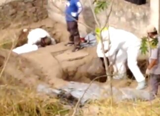 Continúan los trabajos de localización de restos humanos en el Cerro del Toro, en Acambaro.