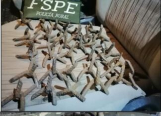 En Operativo «Guanajuato Seguro», se detuvieron a 47 personas y se aseguraron 26 armas y más de 34 mil dosis de drogas.