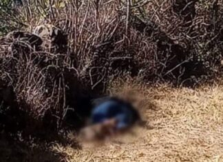 Ejecutan a una mujer en Tzintzuntzan Mich. presentaba visibles huellas de violencia.