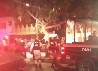 MASACRE EN CELAYA; Comando armado ejecuta a cinco, le perdonan la vida a dos mujeres con un bebé.