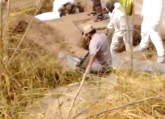 Colectivos logran rescatar 15 cuerpos y 104 bolsas con restos oseos.