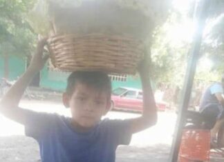 Bala perdida mata a niño de seis años en Apatzingán Mich.