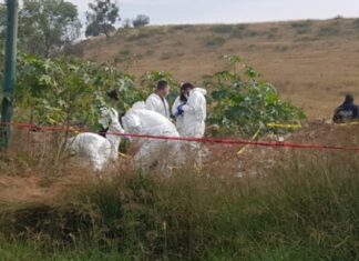 Ejecutan a Sargento del Ejército Mexicano en Muguica Mich.