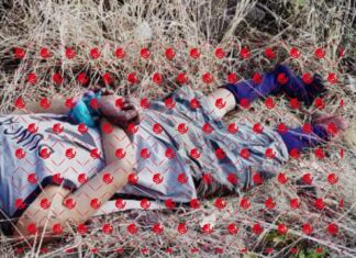 Ejecutan a un hombre en la colonia Niños Héroes en Morelia Mich.