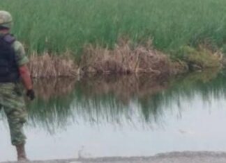 Encuentran los cuerpos de dos personas decapitadas en Lázaro Cárdenas Mich.