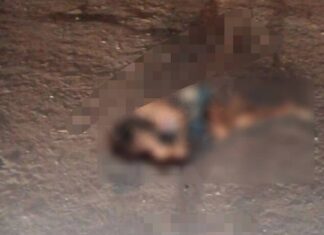 Comando armado asesina a mujer en la colonia Lázaro Cárdenas en Salvatierra.