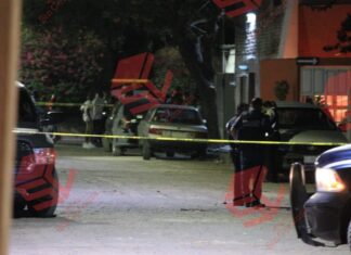 Localizan los cuerpos se dos personas sin vida en la colonia Arboledas en León.