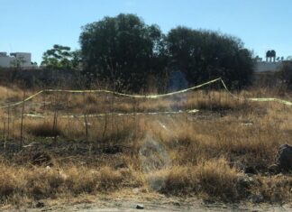 Ejecutan a una persona de la tercera edad en León.