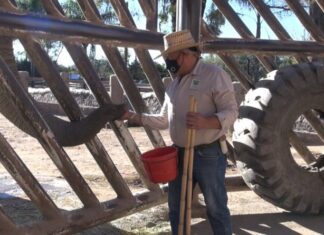 Ciudadanos donan alimentos al Zoológico de León.