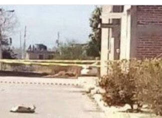 Ejecutan a un hombre en La Moncada en Tarimoro.