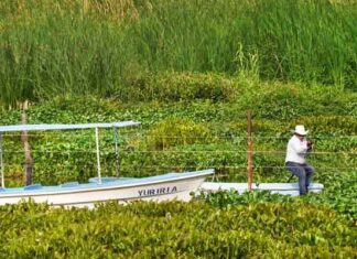 Se suma Guanajuato al » Conteo Nacional de Aves Acuáticas», en el marco del Día Mundial de Los Humedales.