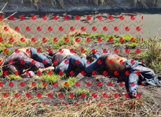 Localizan los cuerpos sin vida de tres hombres en avanzado estado de descomposición en San Francisco del Rincon.