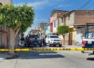 Ataque armado en una carnicería en la colonia Del Valle en Cortázar, dejo un saldo de dos personas asesinadas y una mas herida de gravedad.