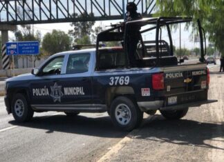 Policía de Silao atiende denuncia Ciudadana sobre un bulto pendiente de un puente peatonal; era una cabeza de cerdo.