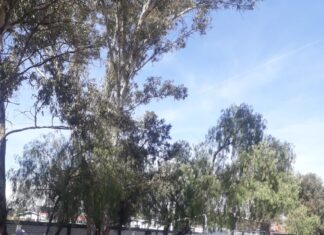 Realizan operativo intermunicipal en la zona norte en Salamanca.