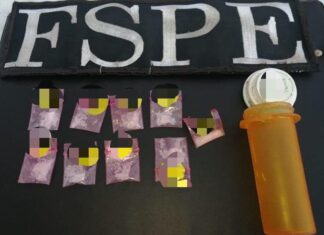 FSPE aseguran en YURIRIA nueve dosis de drogas, conocida como » cristal».