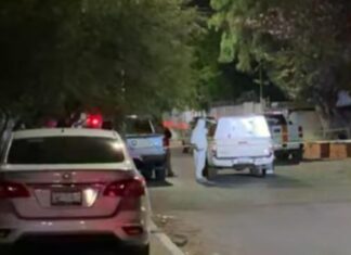 Ejecutan al «Salomón» en la colonia Delta de Jerez en León.