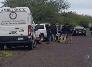 Encuentran cuerpo carcomido en Cuaracurio, Mich.