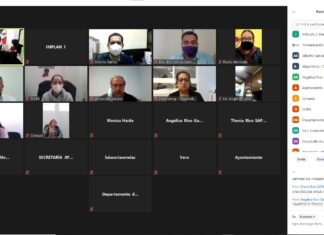 Taller Virtual para los trabajos de la Guía Consultiva de Desempeño Municipal 2021, en Valle de Santiago.