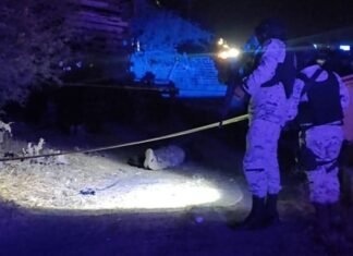 Abaten a presunto delincuente que momentos antes había robado un camión en Apaseo El Grande.