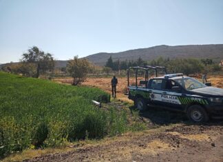 Ejecutan a un hombre en la comunidad de Las Conejas en Salamanca.