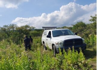 Encuentran el cuerpo de una jovencita baleado y carcomido en Pátzcuaro Mich.